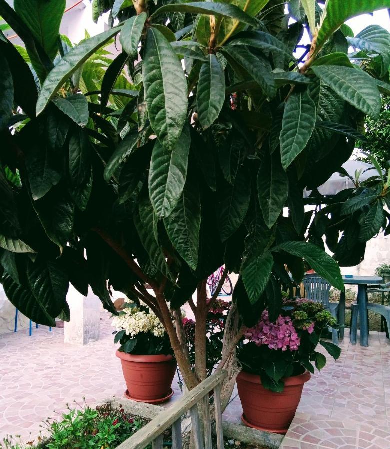 B&B Fenice Barocca เลชเช ภายนอก รูปภาพ